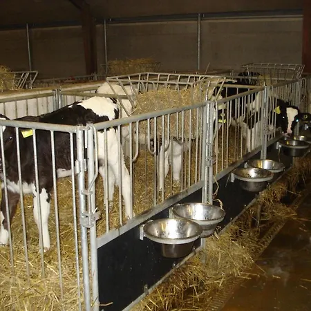 Kirstinesminde Holiday House Holiday home
